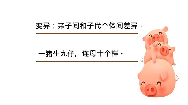 人教版部编八年级下生物7.2.1 基因控制生物的性状精品课件含视频素材05
