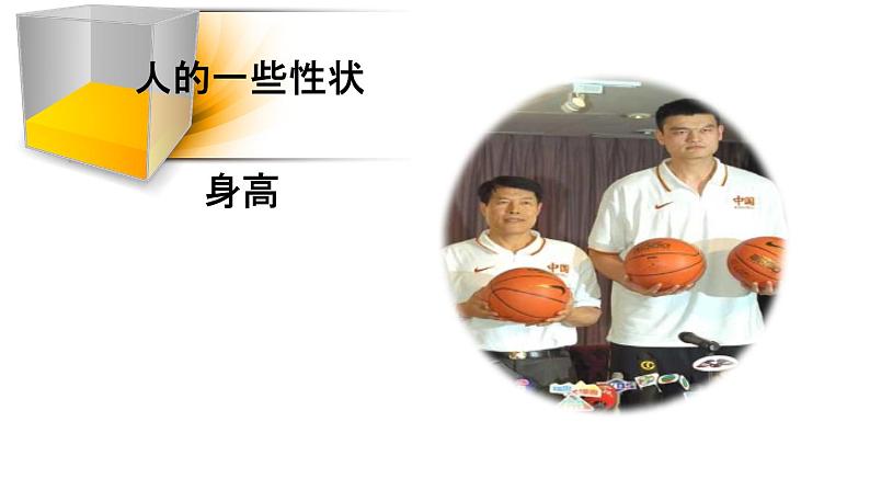 人教版部编八年级下生物7.2.1 基因控制生物的性状精品课件含视频素材06