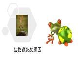 人教版部编八年级下生物7.3.3 生物进化的原因 精品课件含视频素材