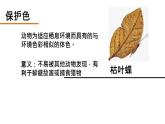 人教版部编八年级下生物7.3.3 生物进化的原因 精品课件含视频素材