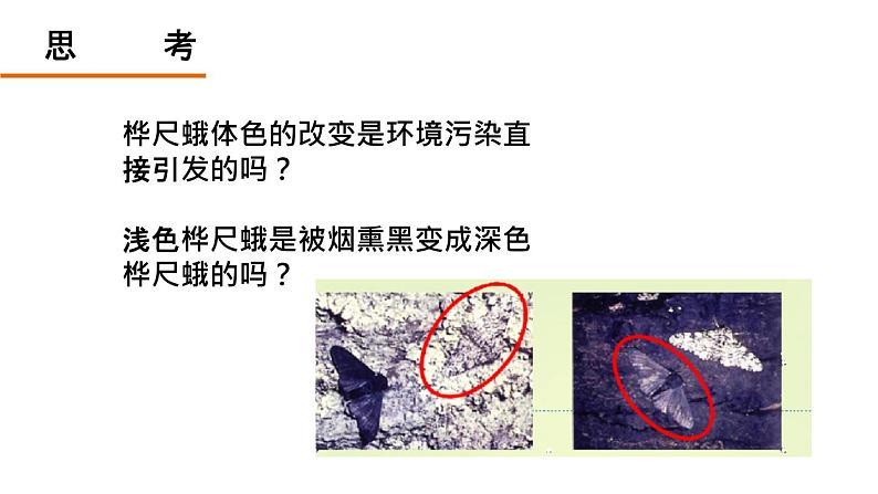 人教版部编八年级下生物7.3.3 生物进化的原因 精品课件含视频素材第6页