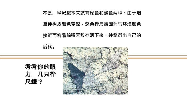 人教版部编八年级下生物7.3.3 生物进化的原因 精品课件含视频素材第7页