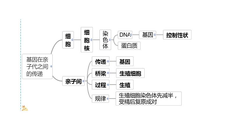 人教版部编八年级下生物7.2.3 基因的显性和隐性精品课件含视频素材第3页