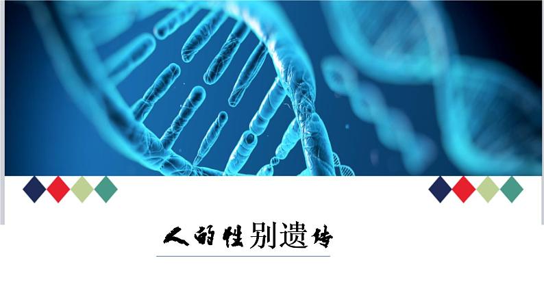 人教版部编八年级下生物7.2.4人的性别遗传 精品课件含视频素材第1页