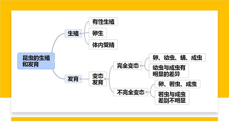 人教版部编八年级下生物7.1.3两栖动物的生殖和发育 精品课件含视频素材第2页