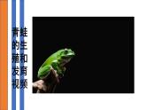 人教版部编八年级下生物7.1.3两栖动物的生殖和发育 精品课件含视频素材