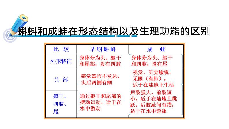 人教版部编八年级下生物7.1.3两栖动物的生殖和发育 精品课件含视频素材第6页