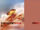 人教版部编八年级下生物7.1.2昆虫的生殖和发育 精品课件含视频素材