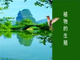 人教版部编八年级下生物7.1.1 植物的生殖精品课件含视频素材