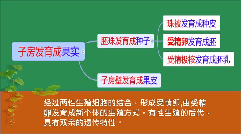 人教版部编八年级下生物7.1.1 植物的生殖精品课件含视频素材05