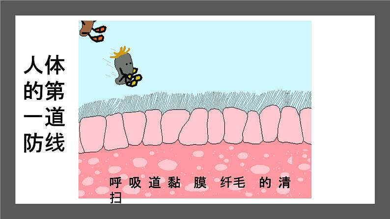 人教版部编八年级下生物8.1.2免疫与计划免疫 精品课件含视频素材第7页