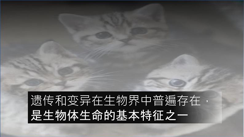 人教版部编八年级下生物7.2.5生物的变异 精品课件第8页