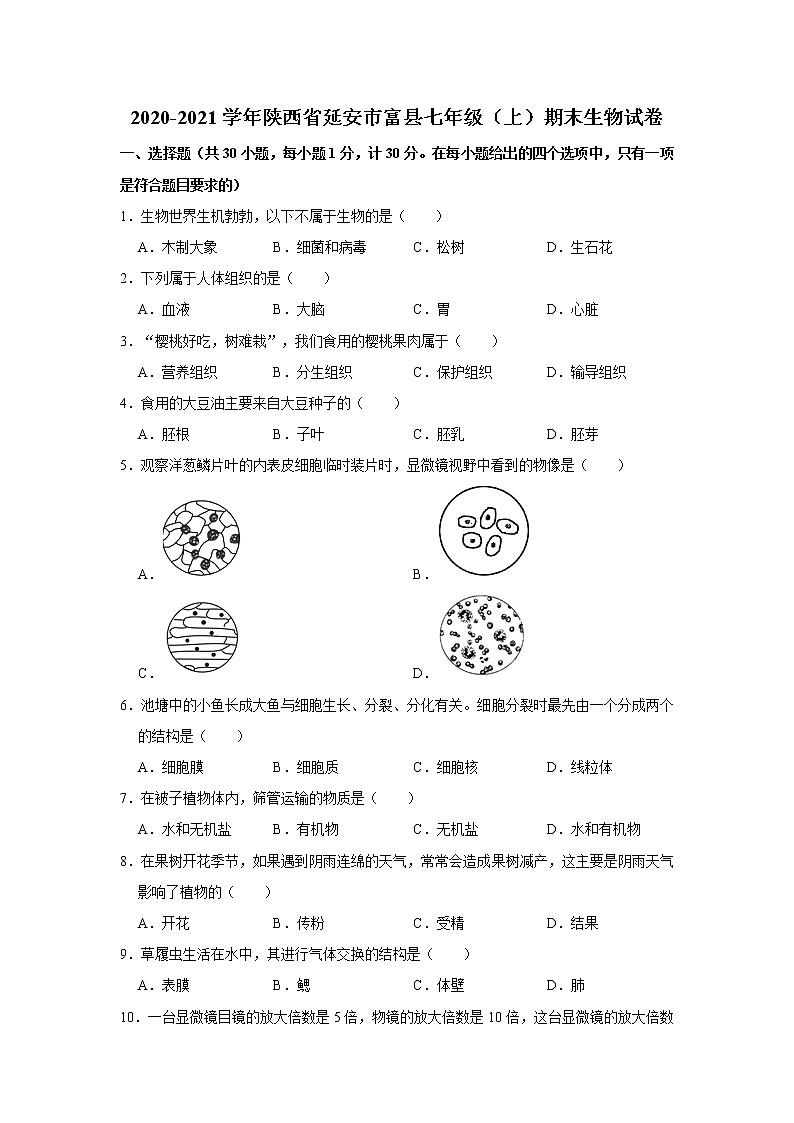 2020-2021学年陕西省延安市富县七年级（上）期末生物试卷   解析版第1页