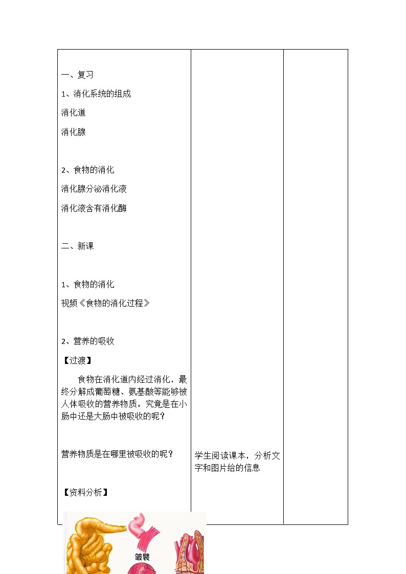 4.2.2《消化和吸收》第2课时 教案第3页