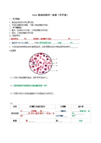 生物七年级下册第一节 流动的组织──血液导学案