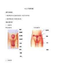 人教版 (新课标)七年级下册第二节 人的生殖导学案