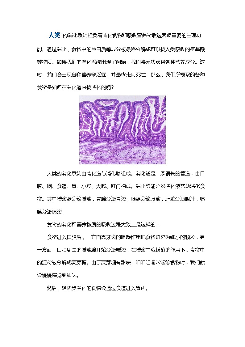 实验解读：二 探究馒头在口腔中的变化（生物人教版七下）第1页
