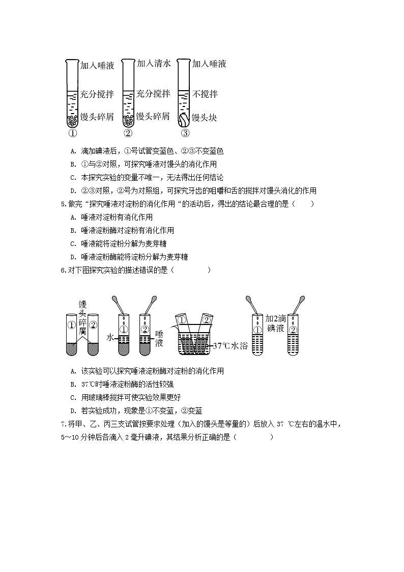 实验探究二  探究馒头在口腔中的变化（生物人教版七下）第2页