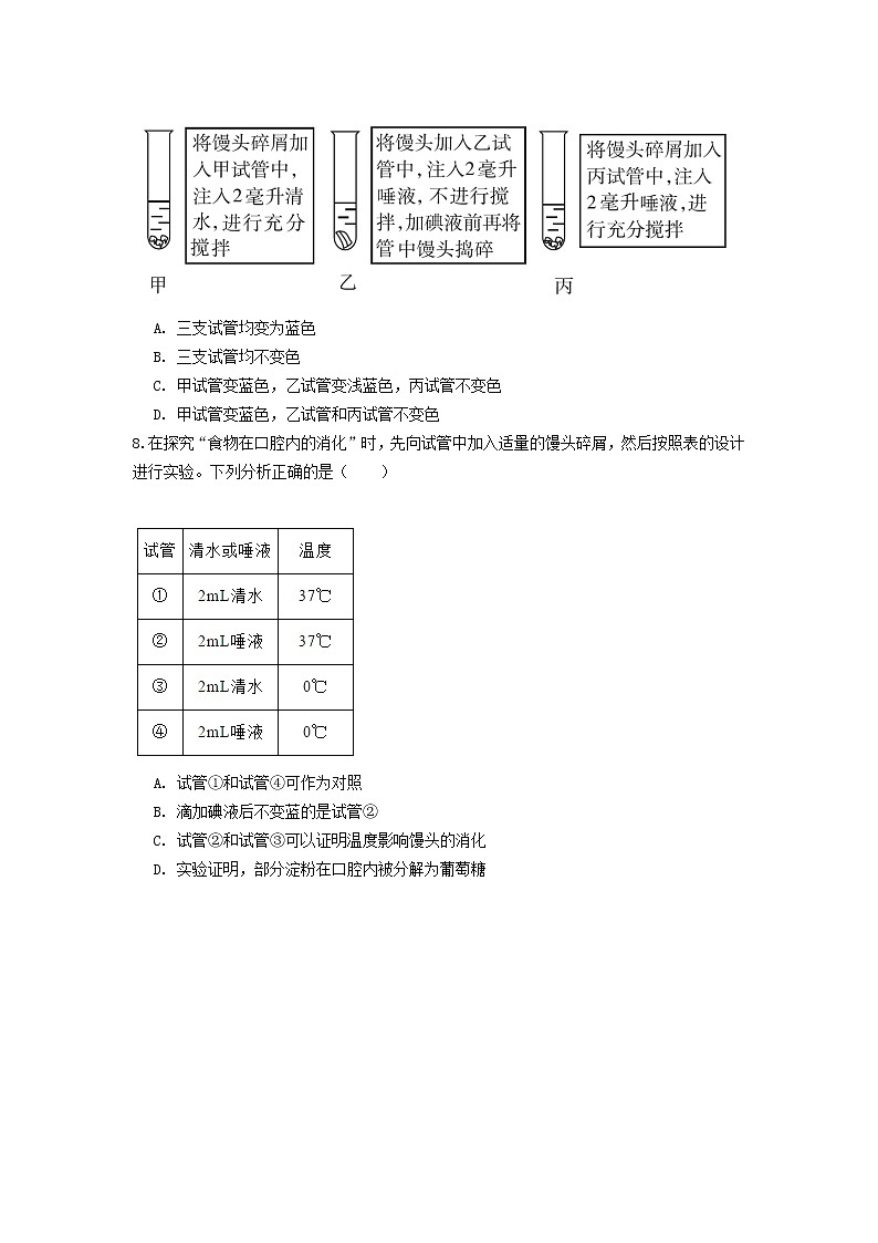 实验探究二  探究馒头在口腔中的变化（生物人教版七下）第3页