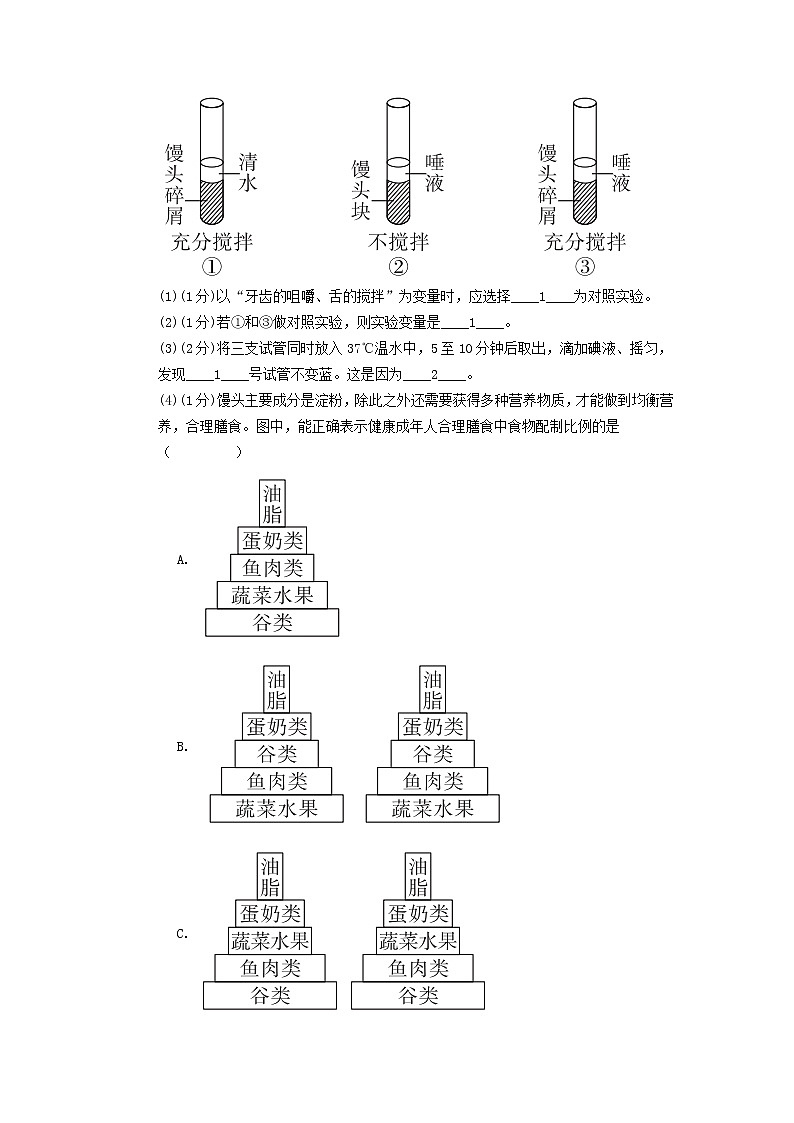 实验探究二  探究馒头在口腔中的变化(生物人教版七下)第2页
