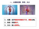 4.4.3 输送血液的泵——心脏 课件 人教版七年级生物下册