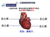 4.4.3 输送血液的泵——心脏 课件 人教版七年级生物下册