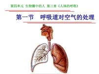 人教版 (新课标)七年级下册第四单元 生物圈中的人第三章 人体的呼吸第一节 呼吸道对空气的处理授课课件ppt