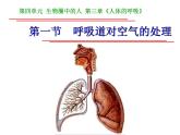 4.3.1 呼吸道对空气的处理 课件