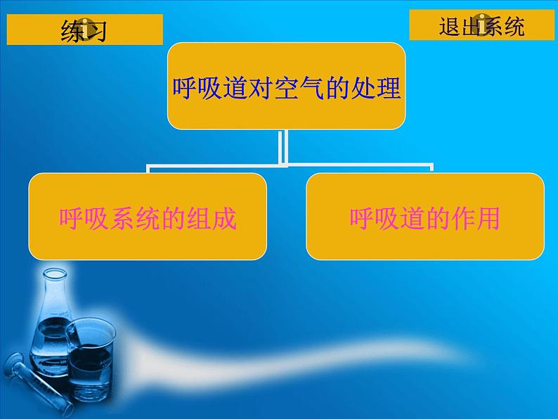 2020-2021学年人教版七年级下册生物：4.3.1呼吸道对空气的处理 课件第2页