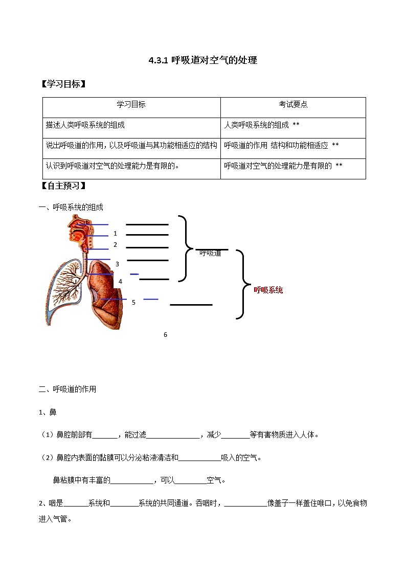 初中生物 人教版七年级下册 4.3.1呼吸道对空气的处理 学案（学生版）01