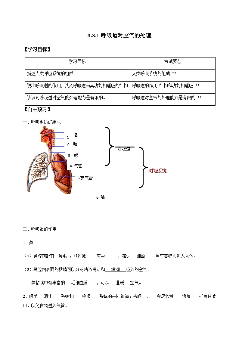 初中生物 人教版七年级下册 4.3.1呼吸道对空气的处理 学案（教师版）01