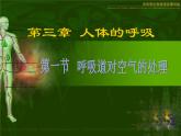 人教版七下第四单元第三章第一节呼吸道对空气的处理 课件