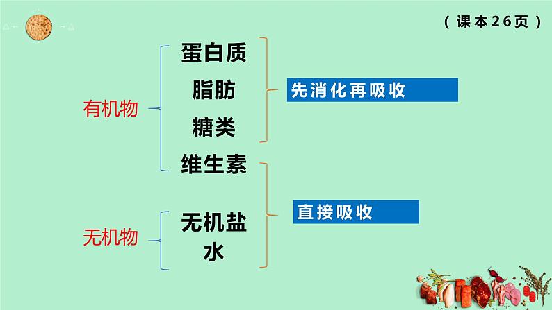 4.2.2 消化和吸收(第1课时）课件02