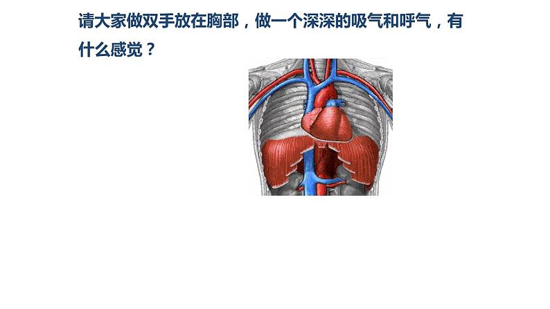 2020--2021学年人教版七年级下册生物4.3.2发生在肺内的气体交换 课件第8页