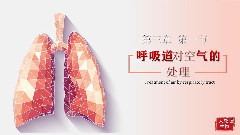 人教版七年级下册生物课件  4.3.1 呼吸道对空气的处理01