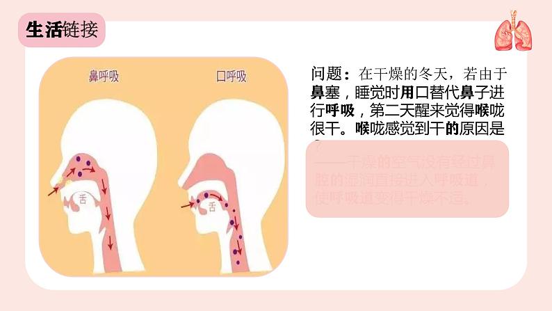 人教版七年级下册生物课件  4.3.1 呼吸道对空气的处理07