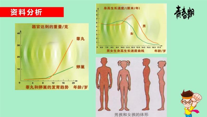 4.1.3青春期 课件08