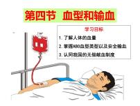 人教版 (新课标)七年级下册第四节 输血与血型图文课件ppt