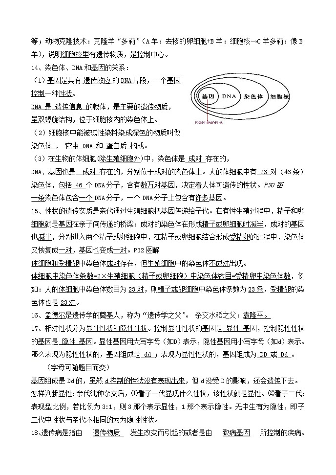 生物中考复习材料八年级下册知识点03
