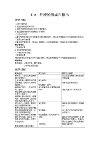 初中生物济南版七年级下册第一节  尿液的形成和排出教案及反思