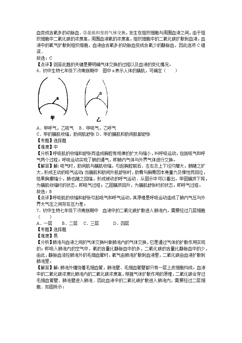 济南版七年级下册生物期中1卷03