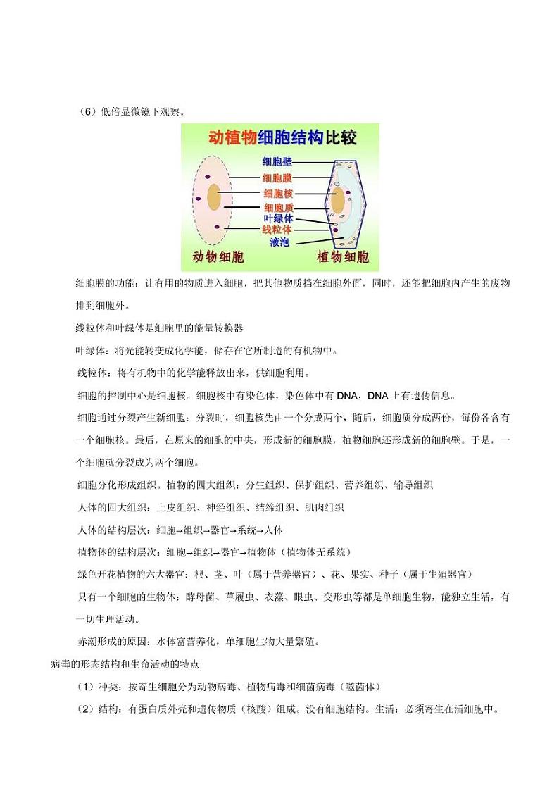 中考生物必背知识合集 学案03