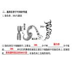 2020春人教版生物八年级下册知识点复习：期末复习（课件 练习，共8份打包)