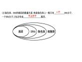2020春人教版生物八年级下册知识点复习：期末复习（课件 练习，共8份打包)