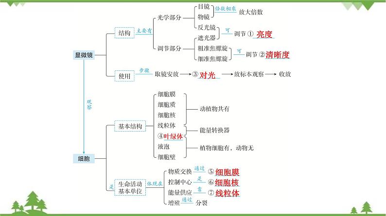 2021年中考生物北师大版复习 第3章 细胞 课件05