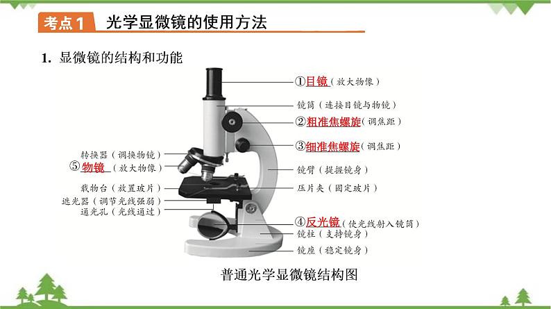 2021年中考生物北师大版复习 第3章 细胞 课件07