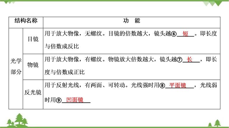 2021年中考生物北师大版复习 第3章 细胞 课件08