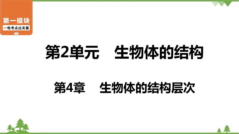 2021年中考生物北师大版复习 第4章 生物体的结构层次课件01