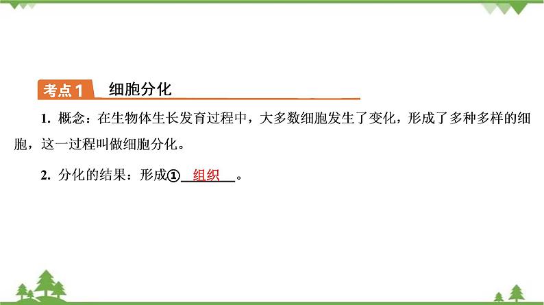 2021年中考生物北师大版复习 第4章 生物体的结构层次课件07