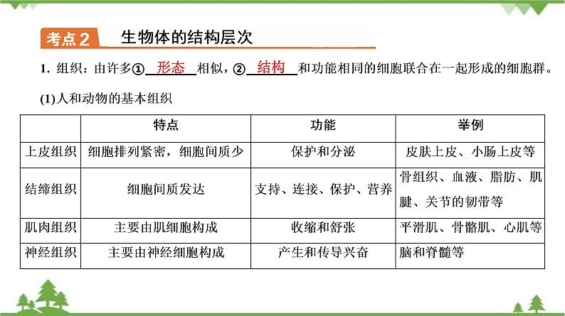 2021年中考生物北师大版复习 第4章 生物体的结构层次课件08